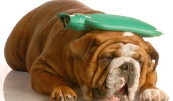 Ожидается аномальная жара