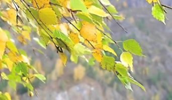 1 сентября температура снизится до 12 градусов