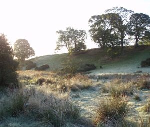 В Ульяновской области ночью ожидаются первые заморозки