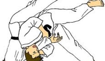 В Ульяновске состоялся Чемпионат ПФО по дзюдо