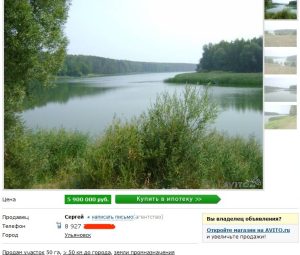 Необыкновенные приключения Клюквенного залива