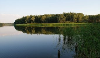 Как умудрились продать залив Волги