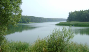 Инвесторы зашли не в тот залив