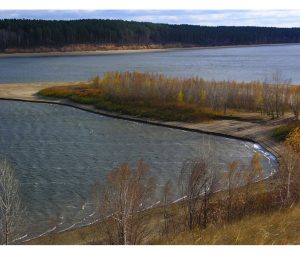 Ульяновский регион самый привлекательный для ведения бизнеса. Где еще так успешно торгуют заливами?