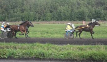Ульяновская спортсменка представит ПФО на чемпионате по конному спорту «Молодёжь России 2012»