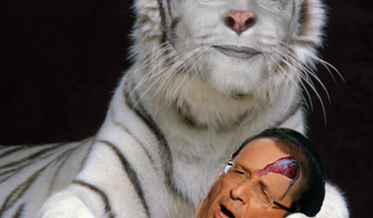 В Ульяновске медсестра завладела квартирой своего пациента