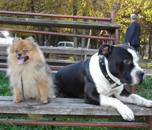 Мэрия отказала Госэконадзору