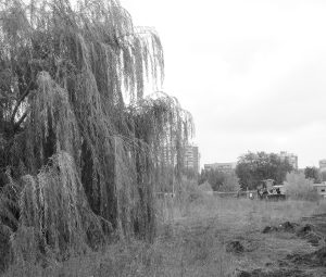 Парк – под экскаватор