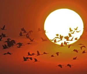 На стажировку в Германию