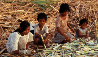 Детский труд на плантациях Цильнинского района