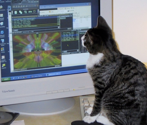 Пенсионерка не поделила с сожителем компьютер