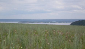 Шесть соток за 4 рубля: земельное мошенничество в Чувашии