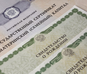 Чиновники воспрепятствовали многодетной матери воспользоваться сертификатом на материнский капитал