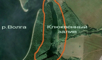 Заключение по Клюкве