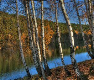 Осень в Ульяновской области. Фантастически красивые фото от simbiblis