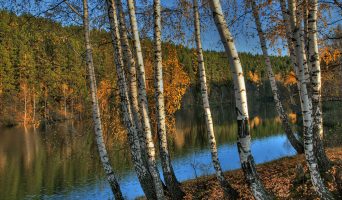 Осень в Ульяновской области. Фантастически красивые фото от simbiblis