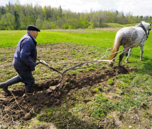 Сельхозпроизводство в РФ за 9 месяцев снизилось на 2,3%, до 2,3 трлн руб.