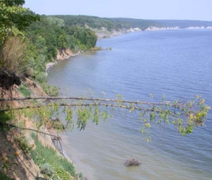 Около поселка Ундоры затонули две баржи