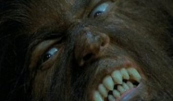 “Оборотень” среди ульяновских полицейских