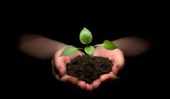 С начала 2012 года господдержка АПК в Ульяновской области составила 1 млрд. 257,1 млн. рублей