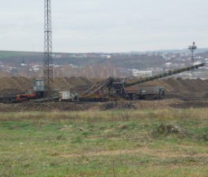 В Ульяновской области собрали рекордный урожай сахарной свёклы