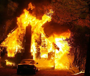 Поджигателю дачных домиков в поселке Карамзина предъявлено обвинение по 7 фактам преступлений