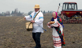 Выявлена очередная схема хищения бюджетных денег