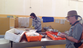 Как выбрать свежую рыбу и приготовить её вкусно