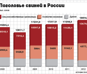 Возможен запрет на разведение свиней