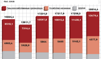 Возможен запрет на разведение свиней