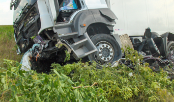 ДТП 23 августа в Нижегородской области: погибло 5 человек