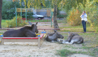 Мама с детьми на детской площадке