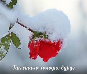 В Антарктиде побит мировой рекорд отрицательной температуры