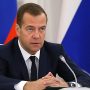 Медведев поручил к 15 мая предложить механизм легализации работы личных подсобных хозяйств